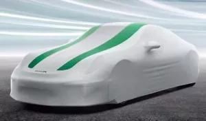 New Genuine Porsche 991R 911 R Green Stripe Indoor Car Cover 99104400043 - Picture 1 of 1