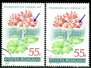 1968 Pelargonium,Geranium,Flowers,Pelargonien,Romania,Mi.2689,VFU,ERROR/1 - Picture 1 of 1