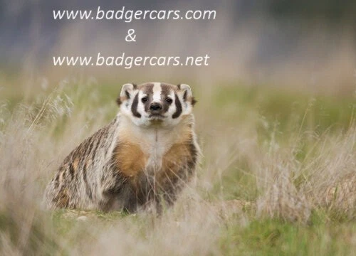 Domains for sale: www.badgercars.com & www.badgercars.net - Image 1 of 1