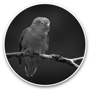 2 x Vinyl Stickers 20cm (bw) - Pretty Lovebird Lovebird Parrot  #43152 - Afbeelding 1 van 8
