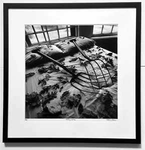 Framed Editioned Photograph Raking Leaves Arthur Tress - Picture 1 of 7