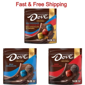 DOVE Promises d Valentine's Day Milk Chocolate Candy, 14.08 oz Bag - Picture 1 of 4