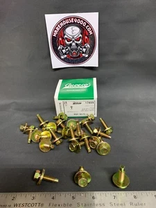 Auveco 17035 Body Bolts, Ford 384931-S36, 5/16-18 x 1-1/16, 7/8 OD, 1/2 Hex - Imagen 1 de 2