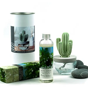 Pretty Valley Home Cactus Ceramic Diffuser Combo (White Jasmine) Scent 200ml - Picture 1 of 4
