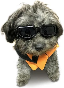 Hundebrille kleine Rasse, UV-Schutz Hunde Sonnenbrille kleine Rasse, Autofahrer Welpe - Bild 1 von 12