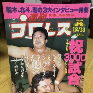 Weekly Pro Wrestling 1994 December 13Th Issue Goryuma Interview - Picture 1 of 5