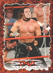 2004 Pacific TNA Red #13 Julio Dinero