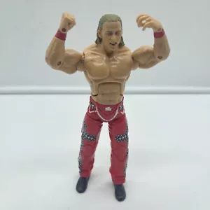 Modellino HBK Shawn Michaels 2005 WWE Jakks Deluxe Aggression Series WWF - Foto 1 di 9