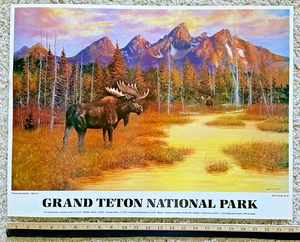TETON ENCOUNTER - MOOSE Poster Print by George Wise (Signed) NATIONAL PARK Rare! - Picture 1 of 5