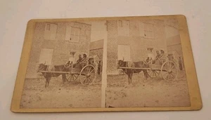 Coppia afroamericana in carro bue GA Georgia D.J. Ryan Stereoview epoca 1870 - Foto 1 di 4