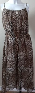 Miss Avenue Animal Print Chiffon Halter Size Medium Dress short front long back - Picture 1 of 12