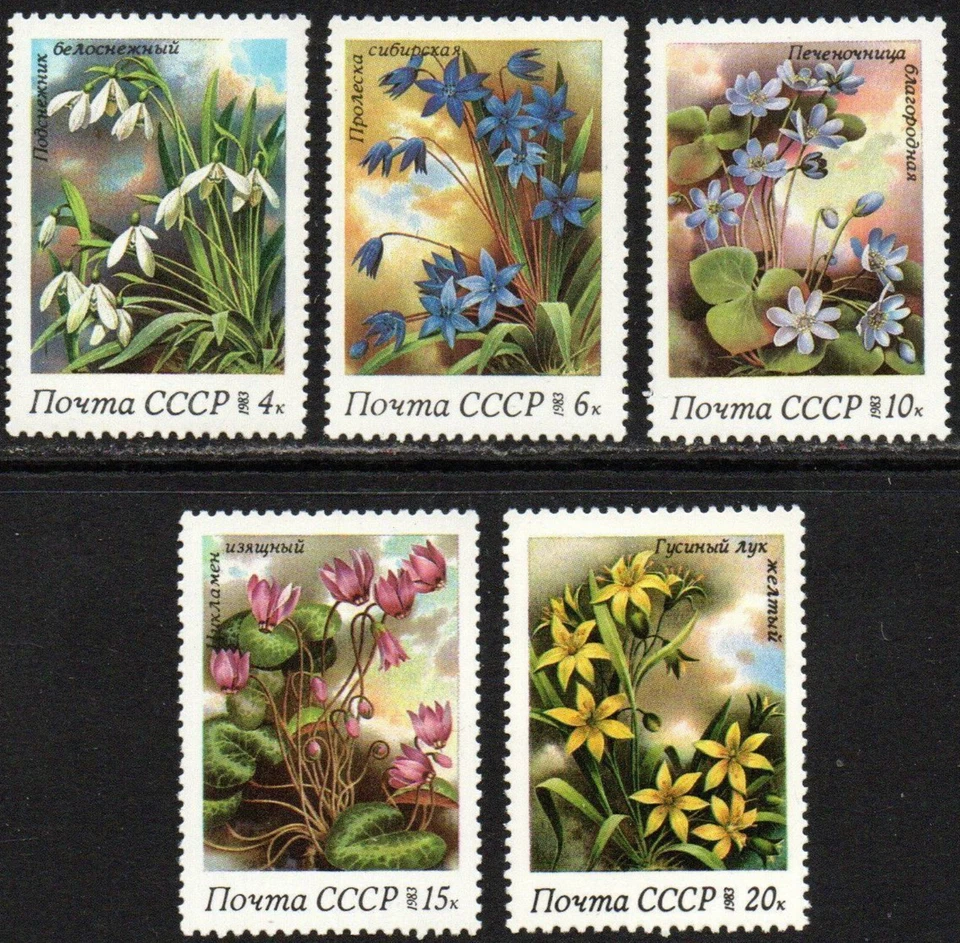 Russia #Mi5278-Mi5282 MNH 1983 Spring Flowers Scilla Siberica [5148-5152] - Image 1 of 1
