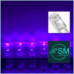 5mm LED Purple Diodes 100pcs Flat Top Concave Phosphor Base Lavender 410-415nm - Picture 1 of 4