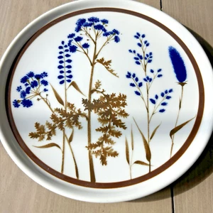Vintage Noritake Steinzeug blau botanische Blumen blau weiß braun Teller Japan 8" - Bild 1 von 7