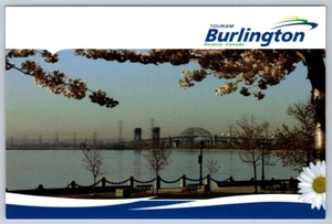 Cherry Blossoms, Burlington Skyway Spencer Smith Park Burlington ON Postcard NOS - Picture 1 of 2