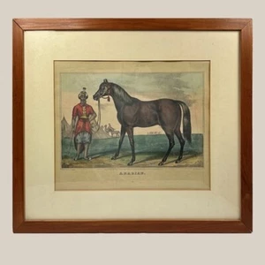 N. Currier gerahmt Original Lithographie handfarbig Arabisch - Bild 1 von 9