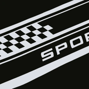 2pcs Racing Plaid Side Door Fender Skirt Stripe Decals Sticker Car Accessories - Foto 1 di 12