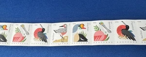 89 Total COASTAL BIRDS USA 2015 Stamps Postcard See Pictures New - Picture 1 of 12