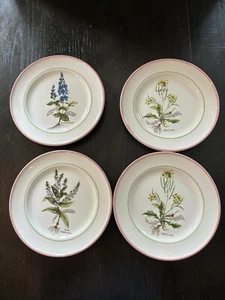 Set Of 4 Primula Herb Garden 8 Inch Plates - Picture 1 of 10