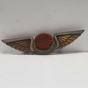 Continental Airlines Plastic wings badge silver colour trim - Picture 1 of 2