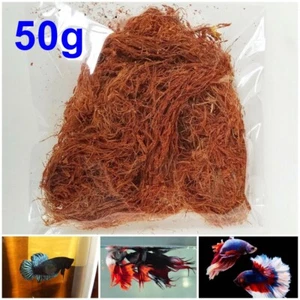 Dried Cutch Tree Acacia Catechu Aquariums Betta Fish Shrimp Fermented Water 50g. - Picture 1 of 17