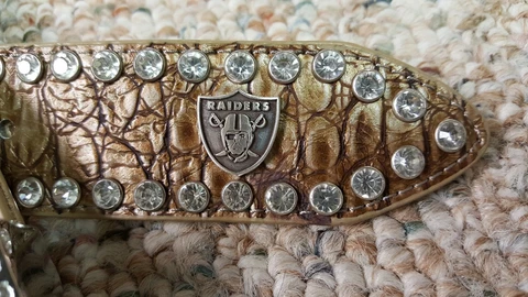 Oakland Raiders Beige Women Leather Belt Rhinestone Color Glitz Bling M L XL XXL Cover