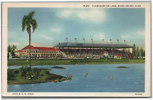 Flamingos am Lake Miami Jockey Club Florida Leinen Postkarte - Bild 1 von 2