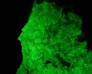 OPAL var. HYALITE (GLASS OPAL) - LW & SW FLUORESCENT -- NAMIBIA - Erongo /ph632 - Picture 1 of 17