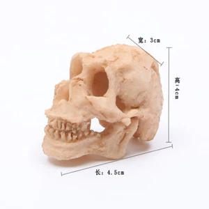 Gypsum skull model Skeleton artware Halloween Fish tank reptile pet Landscaping - Picture 1 of 5