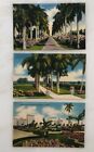 c 1940 MIAMI Florida ROYAL PALM DRIVE Biscayne Bay Front Park Postcard VINTAGE