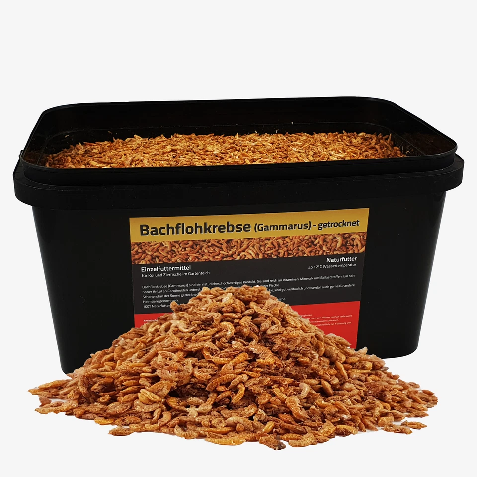 5 Liter Bachflohkrebse im Eimer Koifutter Koi Gammarus Vogel Reptilien Fisch - Bild 1 von 3