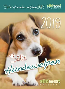 Dulces cachorros de perro 2019 calendario de demolición diaria (04.06.2018) - Imagen 1 de 1