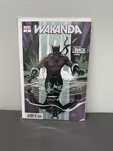 Wakanda #2 variante Terry Dodson Marvel Comics 2022 spedizione gratuita!! - Foto 1 di 2
