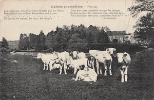 CP SCENES CHAMPETRES PATURAGE- VACHES - 82399 - Picture 1 of 2