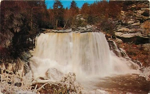 Blackwater Falls Alleghenies Davis West Virgina WV Postcard - Picture 1 of 2