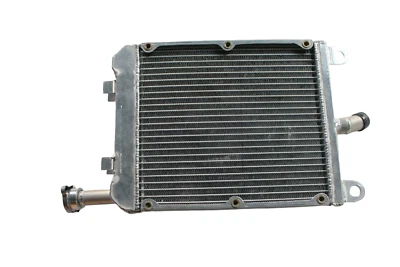 ✅19010-MG9-013 RADIADOR HONDA GL1200 Radiador GL 1200 A ALA DORADA 1984-1987 Foto 1 de 4