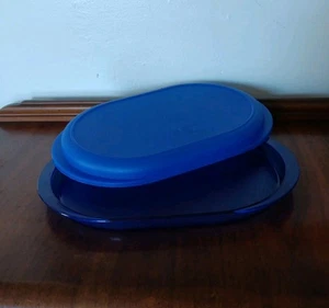 Tupperware Oval Tray with Seal Lid Preludio Vintage Appetizer Meat Cheese Blue - Picture 1 of 11