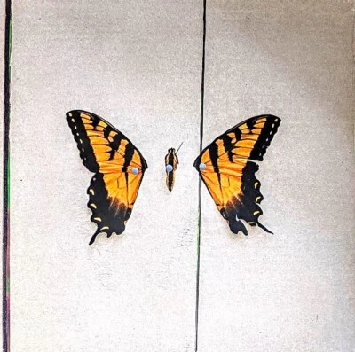 PARAMORE - BRAND NEW EYES - VINYL LP " NEW, SEALED " Foto 1 de 2