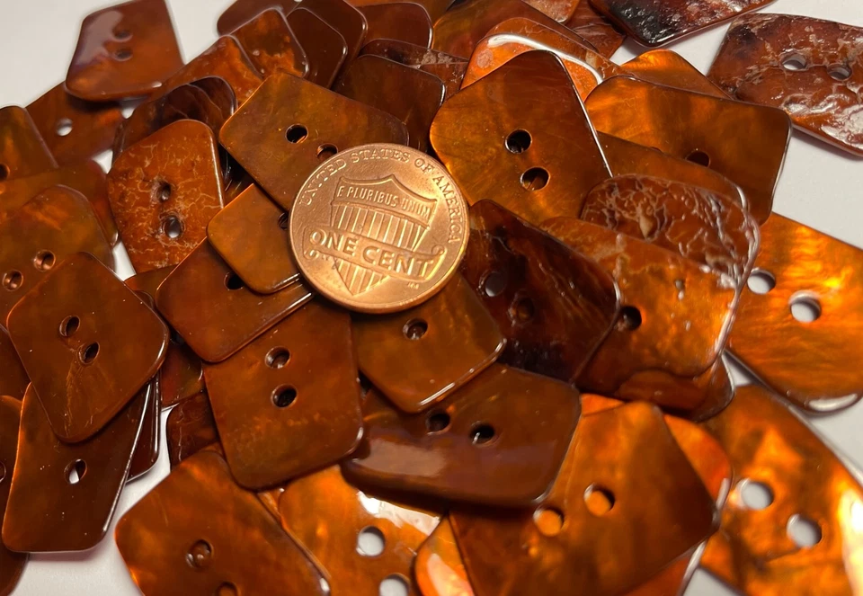 8 PCS ONLY! Rust Brown Dyed Abalone Shell Sew-through Buttons 21mm 13/16" 13549 - Image 1 of 4