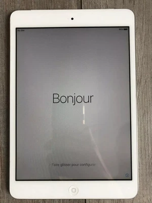 Apple iPad mini 1ère Génération 7,9" 16 Go Wi-Fi Tablette - Blanc & Argenté - Photo 1/4