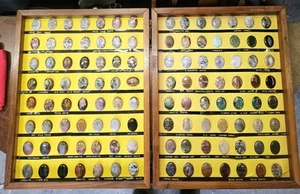 112pc Rare Specimen Collection Rock,Ore,Gem,petrified Wood And More! - Picture 1 of 3