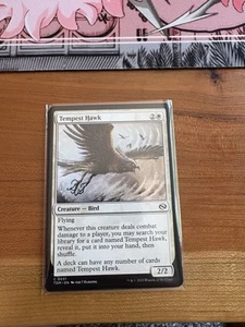 Tempest Hawk Tarkir: Dragonstorm Regular - Picture 1 of 2
