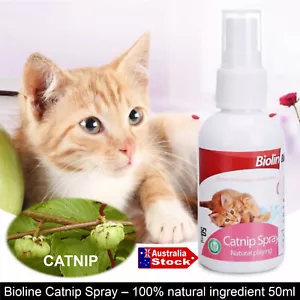 CATNIP ESSENTIAL OIL SPRAY FOR CATS NATURAL FELINE ATTRACTANT - Picture 1 of 4