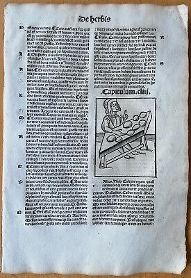 Original Post Inkunabel-Blatt Hortus Sanitatis Palme Venedig 1511 • 35€