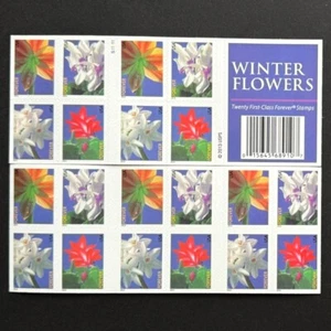 USA 2014 Stamps MNH Booklet Forever Winter Flowers Plate Block Sheet of 20 US . - Picture 1 of 6