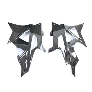 Para BMW S1000RR 2009-2014 100 % fibra de carbono barriga inferior debajo del carenado capucha - Imagen 1 de 11