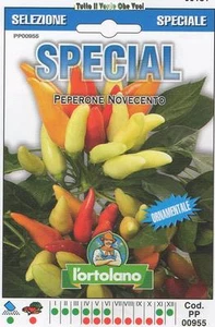 Pfeffer Novecento - SPECIALx1000 Samen - Picture 1 of 1