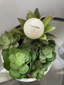 Rare Rawlings Honey Bee Golf Ball - Picture 1 of 5