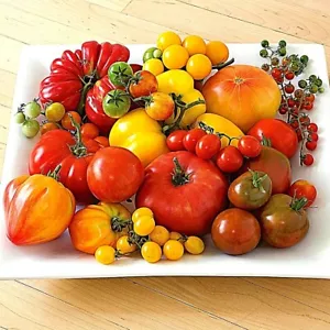 ERBSTÜCK SURVIVAL Tomatensamen GENTECHNIKFREI 60+ Sorten, die Sie wählen LOOK CHEF YUMM! - Bild 1 von 19