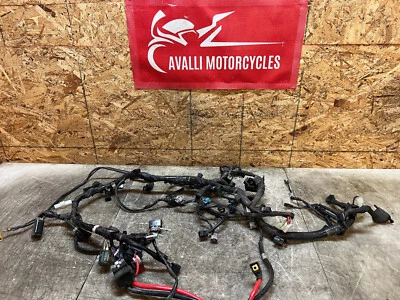 14 15 16 2015 2016 YAMAHA FZ9 FZ09 FZ-09 FZ 900 MOTOR PRINCIPAL CABLEADO ARNÉS TELAR Foto 1 de 4